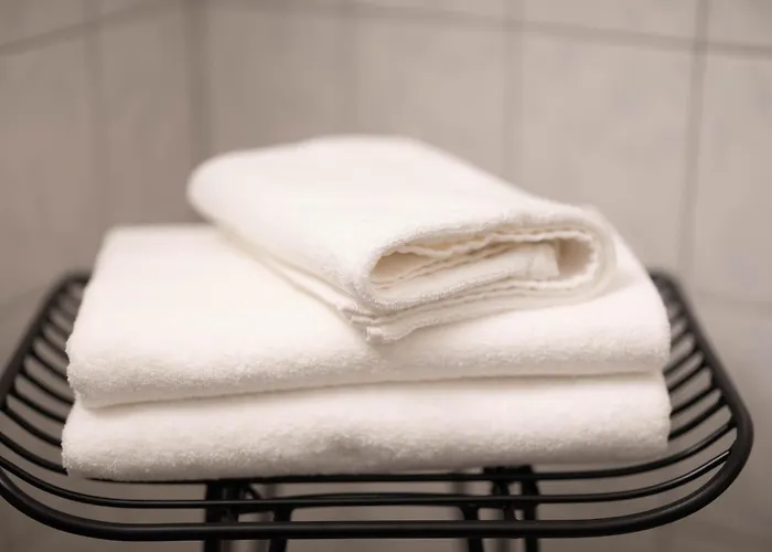 Altstadt For 2 Apartment